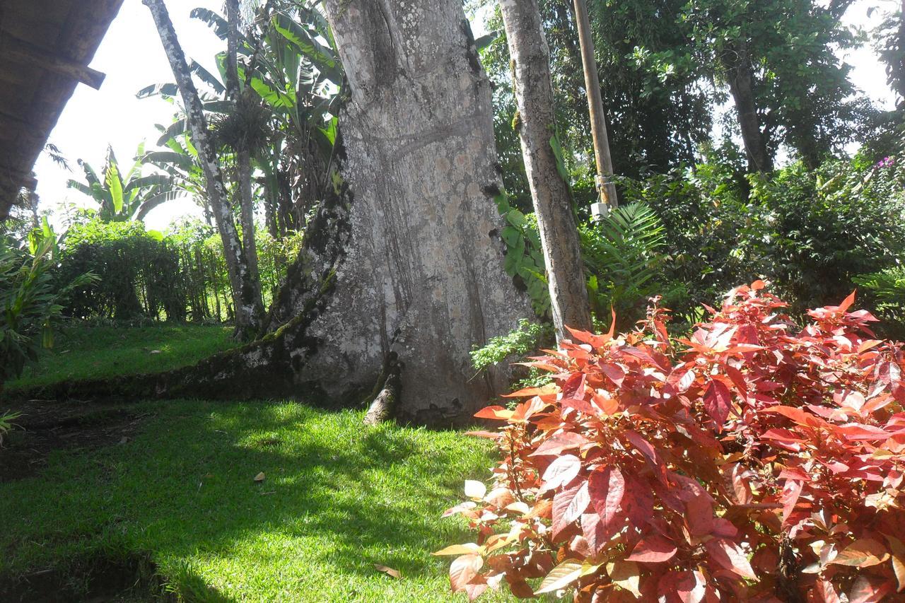 Estancia La Colina Santo Domingo de los Colorados Exterior foto